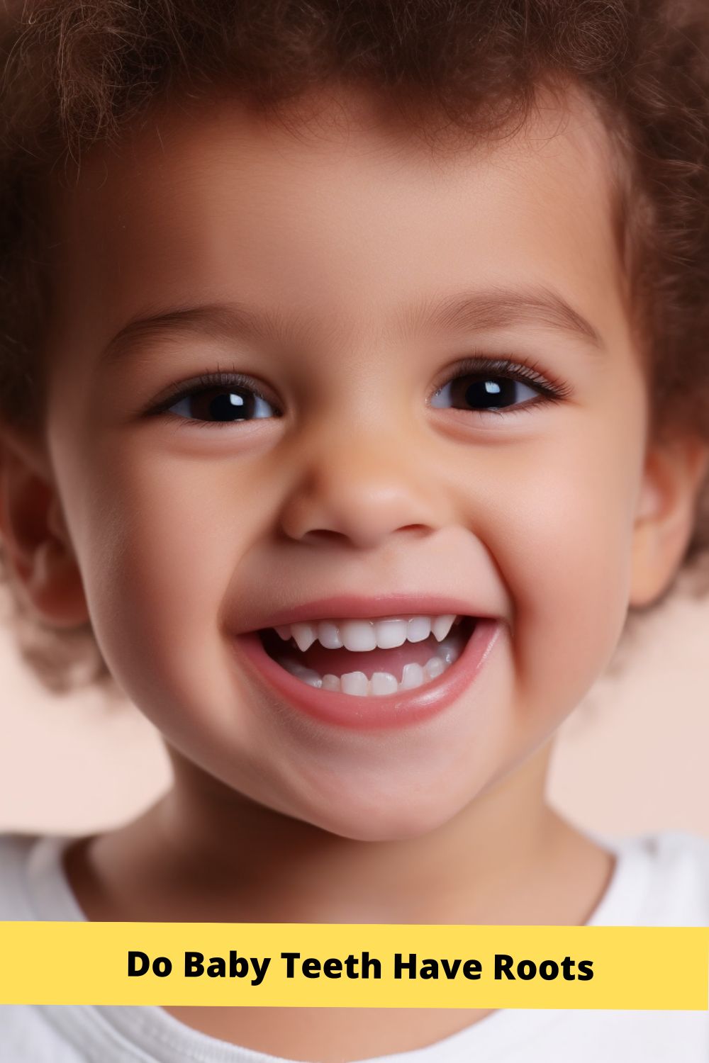 Do Baby Teeth Have Roots